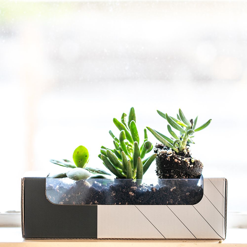 Picture of Lucen Bottle rABS 540ml. Doble Injection Molded